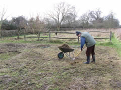 Raking off the thatch